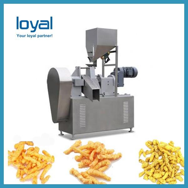 Fried Snacks Pellet Chips Making Machine Screw Shell Snack Food Equipment
